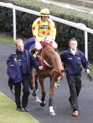 Ascot 20 Feb 2010 w r.jpg