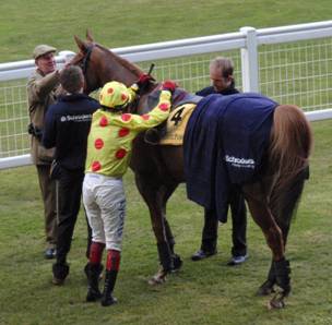 Ascot 20 Feb 2010 z r.jpg