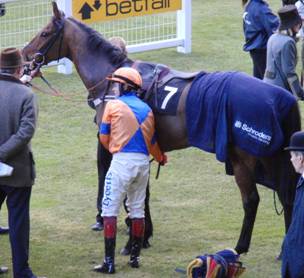 Ascot 20 Feb 2010 z2 r.jpg