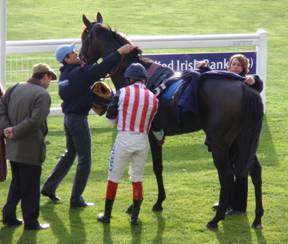 Ascot 21 Nov 08 Thumbnail 3.jpg