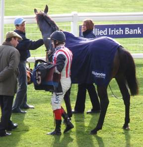 Ascot 21 Nov 08 Thumbnail 2.jpg
