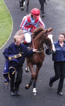 Ascot 21 Nov 09 b red.jpg