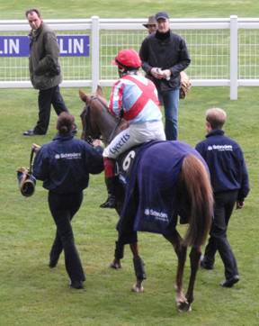 Ascot 21 Nov 09 d red.jpg