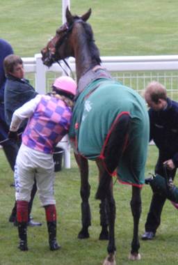 Ascot 21 Nov 09 k red.jpg
