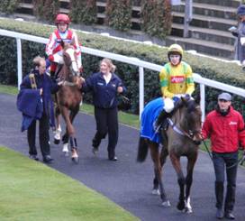 Ascot 22 Jan 2011 h r.jpg