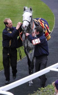 Ascot 22 Jan 2011 walkon  e r.jpg