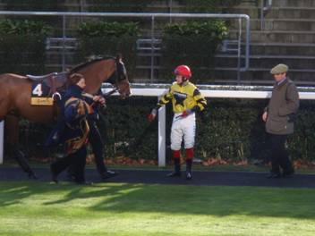 Ascot 22 Nov 08 cropped.jpg