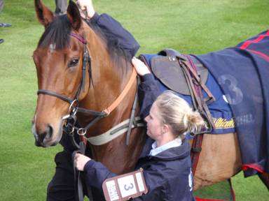 Ascot race 3 b r.jpg