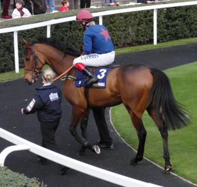 Ascot race 3 d r.jpg