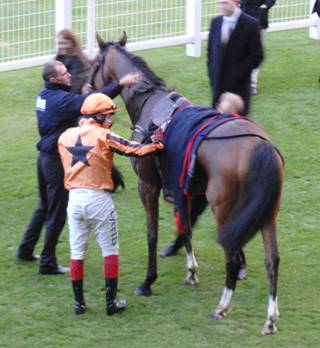 Ascot race 7 b r.jpg