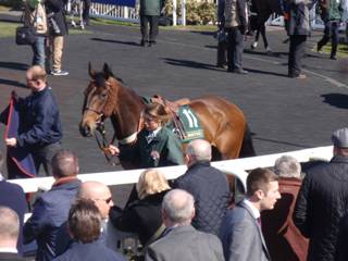 Charity race 4 r.jpg