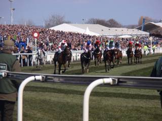 charity race 6 r.jpg
