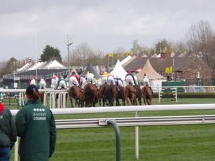 Race 5n.jpg