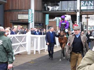y race 5 Wonderful Charm.jpg