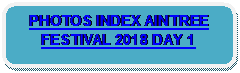 Rounded Rectangle: PHOTOS INDEX AINTREE FESTIVAL 2018 DAY 1