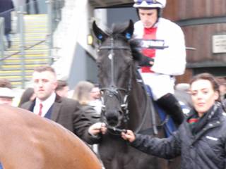 d race 2 Nube Negra.jpg