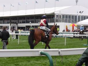 w race 4 cyrus darius.jpg