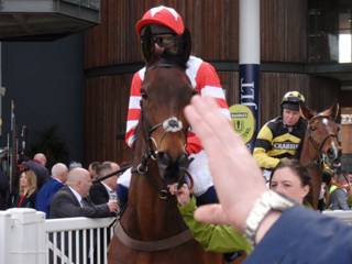 Race 5 n.jpg