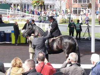 Side Saddle 3.jpg