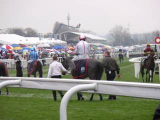 w Race 1 Who Dares Wins.jpg