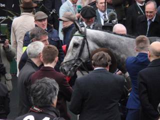 z5 race 3 winner Terrefort.jpg