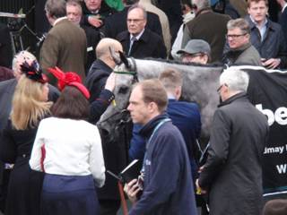 z11 race 3 winner Terrefort.jpg