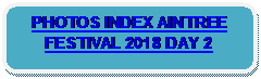 Rounded Rectangle: PHOTOS INDEX AINTREE FESTIVAL 2018 DAY 2