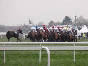 1 race 5 one circuit to go.jpg