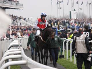 5 race 5 Kilcrea Vale 1.jpg