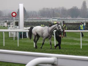 7 race 5 Greybougg.jpg