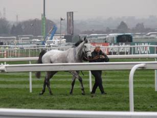 7 race 5 Greybougg 2.jpg