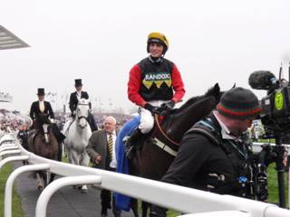 9 race 5 winner Ultragold 1.jpg