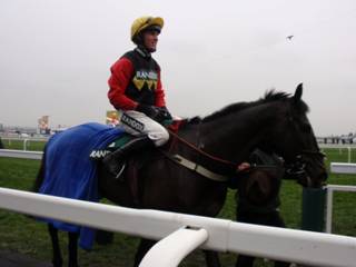 9 race 5 winner Ultragold 2.jpg