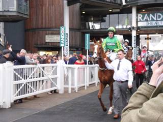 q Race 7 Dazibao.jpg