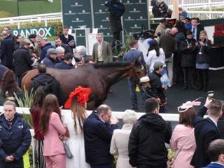 z3 Race 7 winner Portrush Ted.jpg