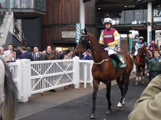 g race 5 Flying Eagle.jpg
