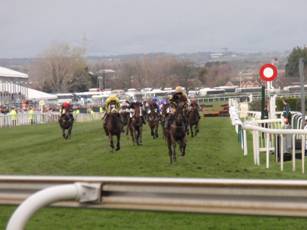 Race 7 l.jpg