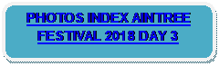 Rounded Rectangle: PHOTOS INDEX AINTREE FESTIVAL 2018 DAY 3