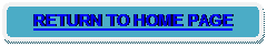 Rounded Rectangle: RETURN TO HOME PAGE