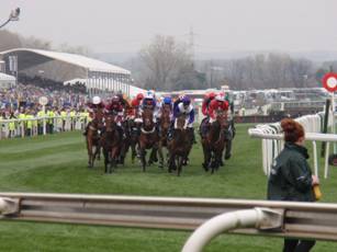 Race 6 l.jpg
