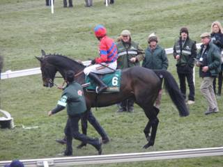 race 3 b r.jpg