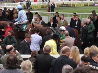 Race 6 i.jpg
