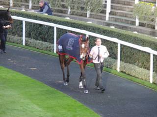 Race 6 f.jpg