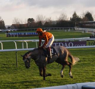 Cheltenham 12 Dec 09 h red.jpg