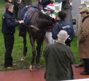 Cheltenham 16 Apr 09 red a.jpg