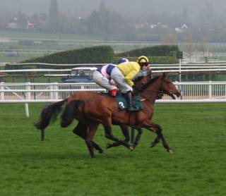 Cheltenham 16 Apr 09 red b.jpg