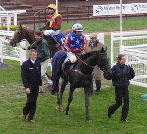 Cheltenham 16 apr 09 red d.jpg