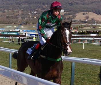 Cheltenham Day 1 b r.jpg