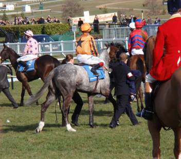Cheltenham Day 1 f r.jpg