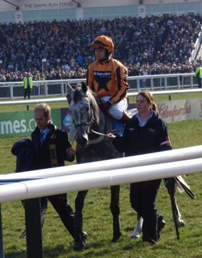 Cheltenham Day 1 h r.jpg